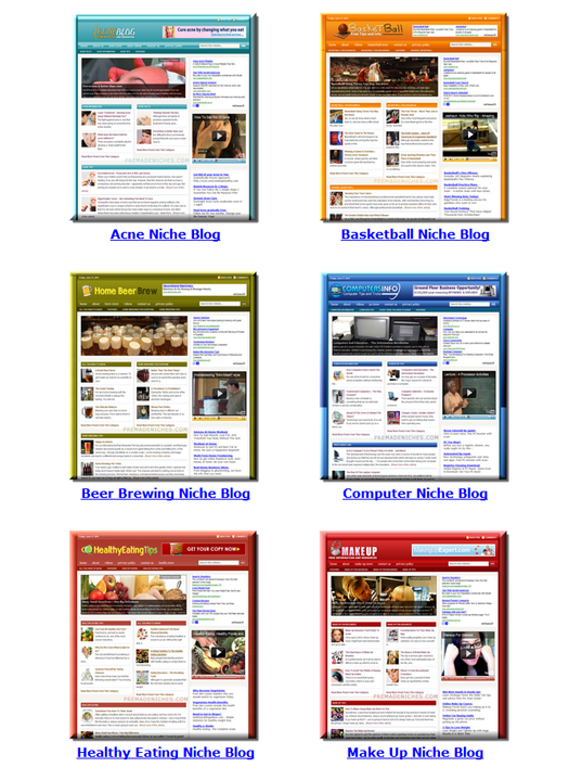 Niche Blogger IV - Enhanced