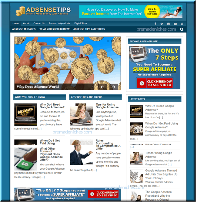 Adsense Niche Blog
