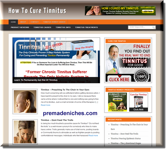 Tinnitus Ready Made Blog