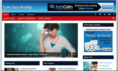 Ready Made Anxiety Niche Blog with Exclusive Theme