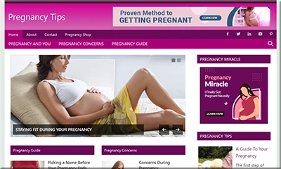 The Best Premade Pregnancy Blog with a Beautiful Theme