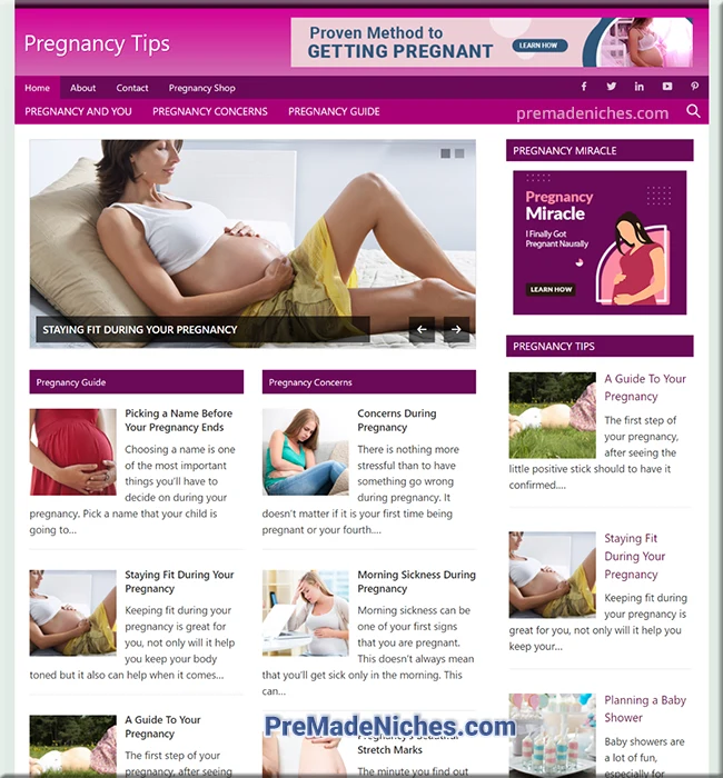 premade pregnancy niche blog