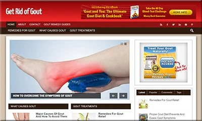Gout Remedy Ready Made Blog with the Best Design
