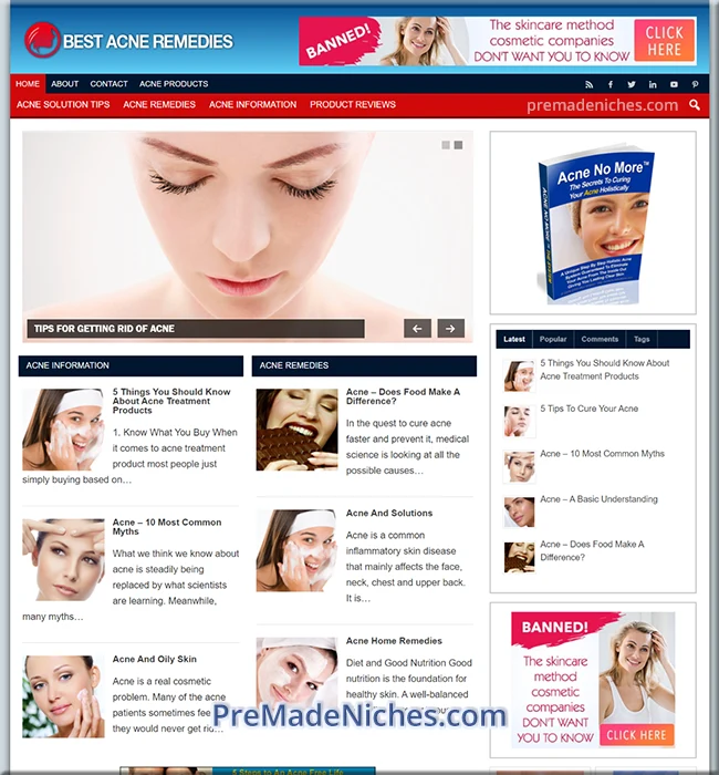 acne niche premium blog