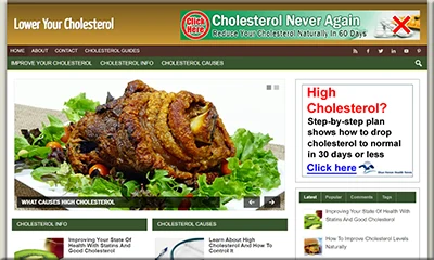 Ready Made Cholesterol Blog with a Remarkable Design