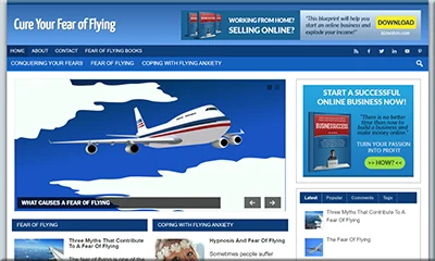 Ready Made Fear of Flying Blog with Excellent Content