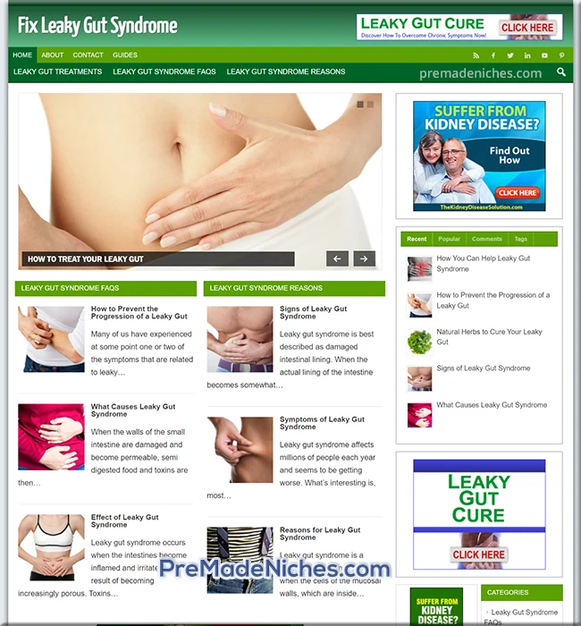premade leaky gut syndrome blog