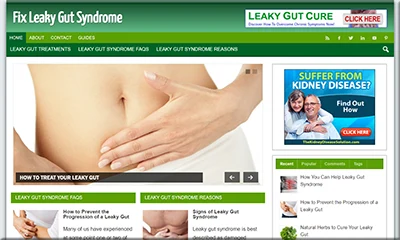 Premade Leaky Gut Syndrome Blog with the Best Content