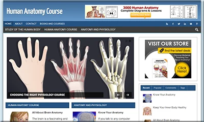 Human Anatomy Turnkey Blog with High Quality Content