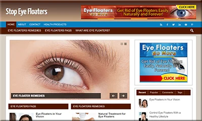 Eye Floaters Ready Made Blog for Quick Download