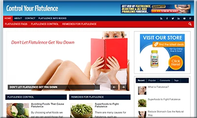 Ready Made Flatulence Website with a Big Discount