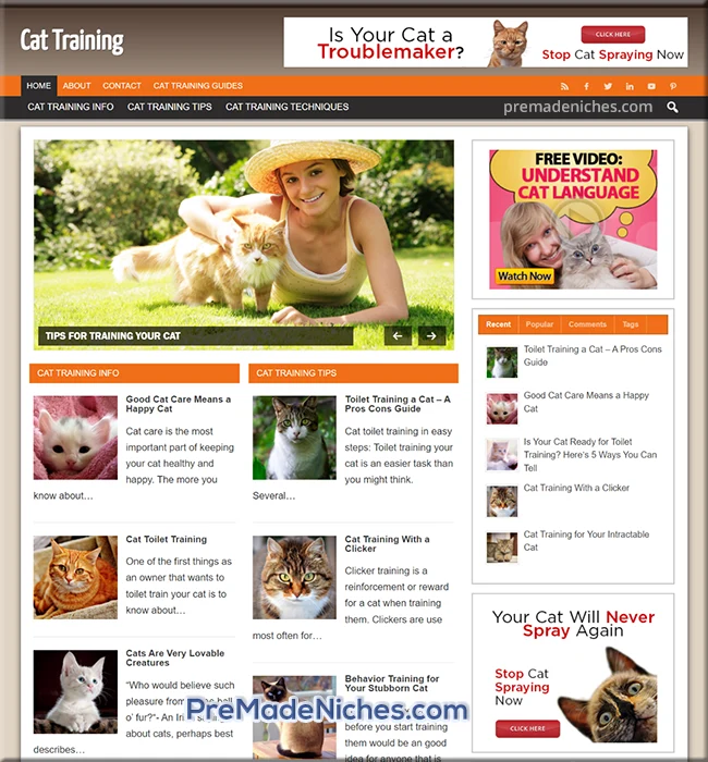 cat training Adsense site