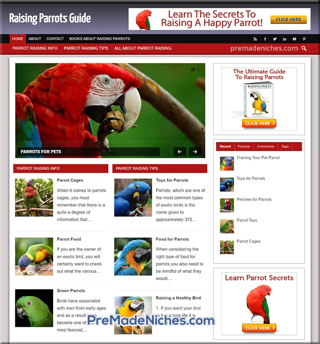 pre made raising parrots blog