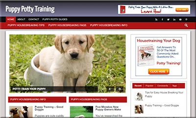 Puppy Potty Training Blog with a Beautiful Design
