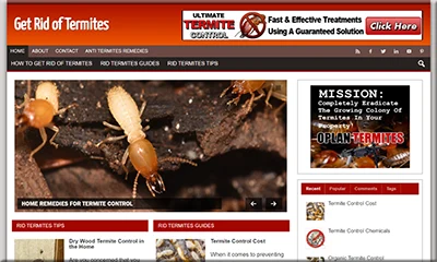 Pre Made Get Rid Termites Blog – a Complete Package