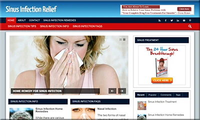 Pre Made Sinus Infection Blog with Amazing Content