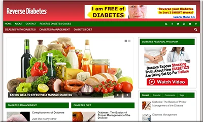 Pre Made Reverse Diabetes Blog with Colorful Design