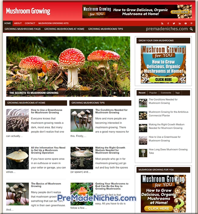 ready made grow mushrooms blog