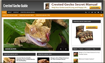 Ready Made Crested Geckos Site with Beautiful Design
