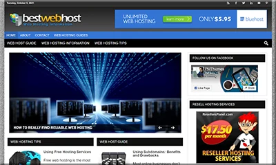 Ready Made Web Hosting Blog at a Bargain Price