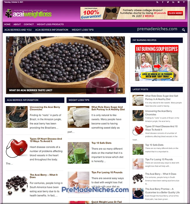 premade weight loss and acai berry blog