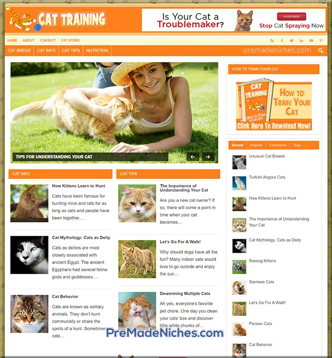 pre made cat training blog