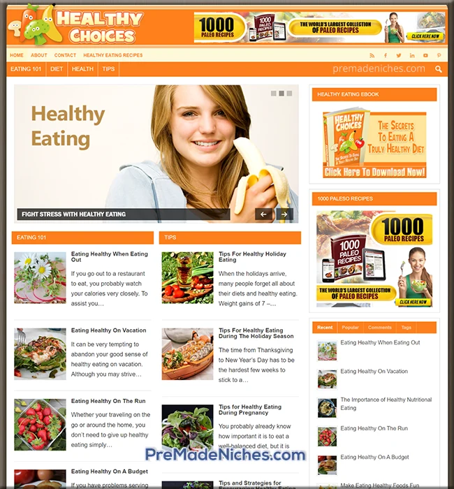 pre made healthy eating blog