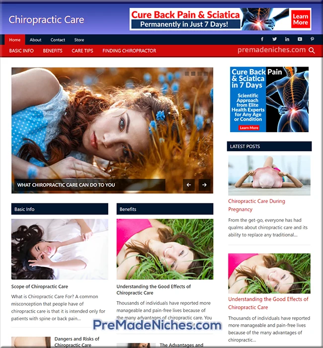 pre made chiropractic care blog