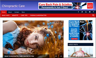 Pre Made Chiropractic Care Blog with Powerful Content
