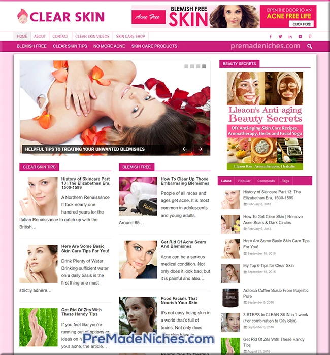 ready made clear skin blog
