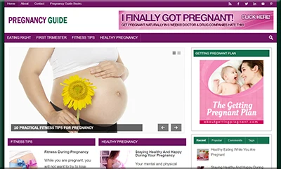 Pregnancy Guide Pre Made Blog with Unique Content