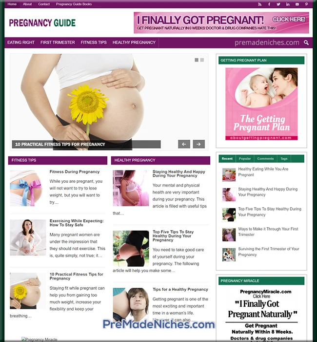 pregnancy guide pre made blog