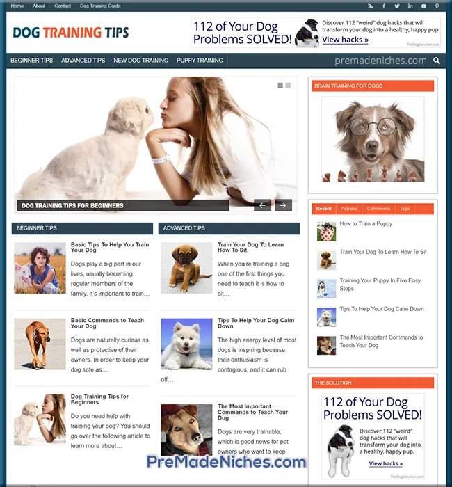 dog training tips pre made blog