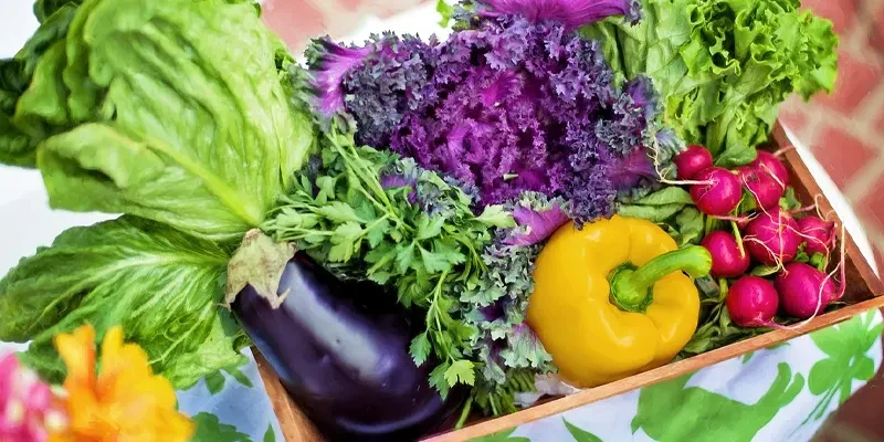 Turnkey Vegetable Gardening Website Package