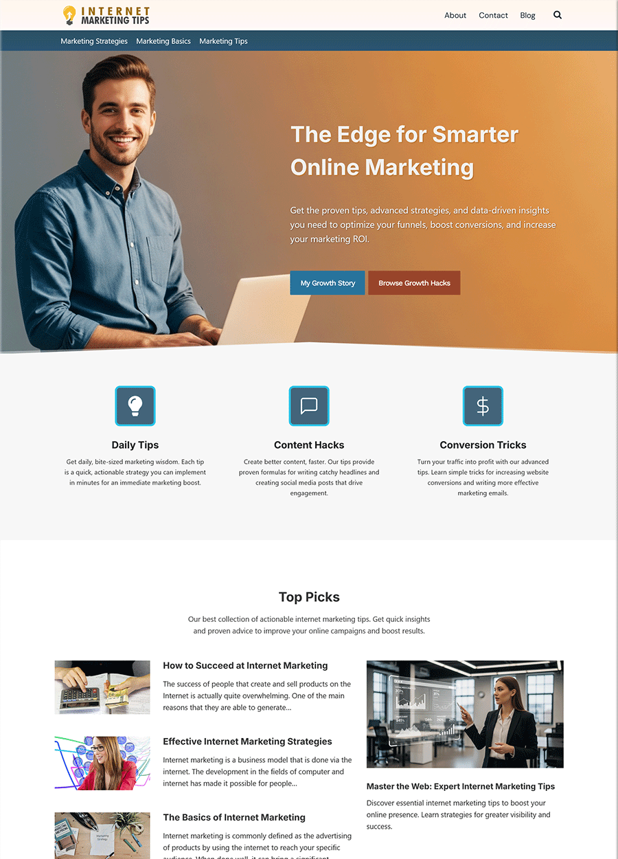 Screenshot of a website template for insider internet marketing tips.