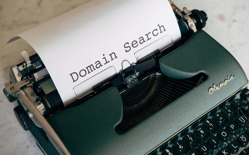 search domain name