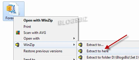 extract zipped file