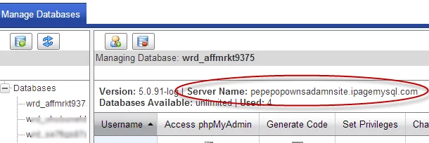 database server name