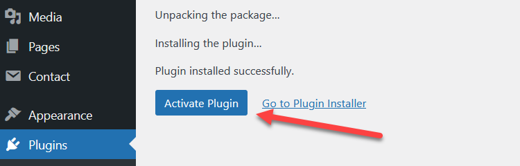 click activate plugin button