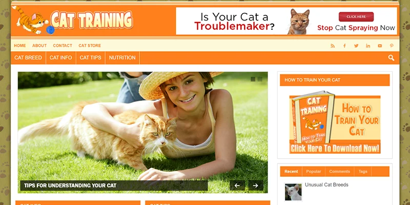 cat training niche website