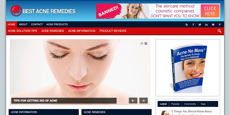 acne remedies WP website