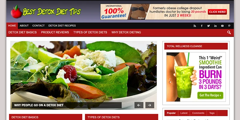 detox diet WP website