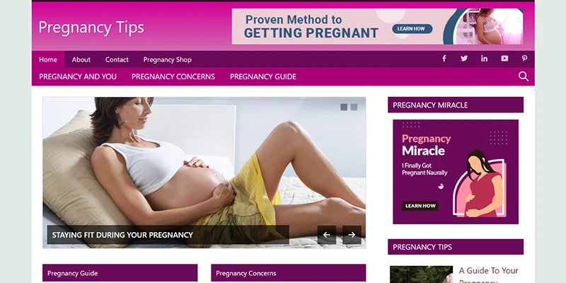 pregnancy website