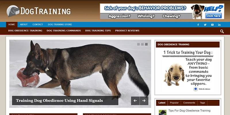dog training website