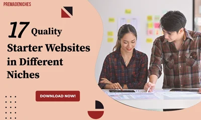 17 Quality Starter Websites in Different Niches
