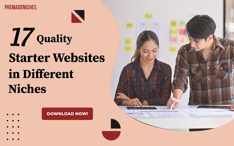 quality starter websites different niches