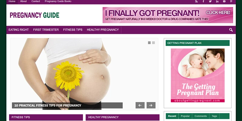 pregnancy guide affiliate website