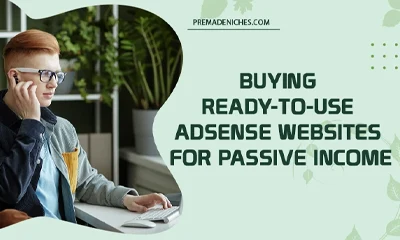 Buying Ready-to-use Adsense Websites for Passive Income