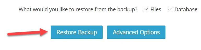 restore backup button