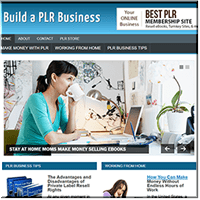 PLR Business Website